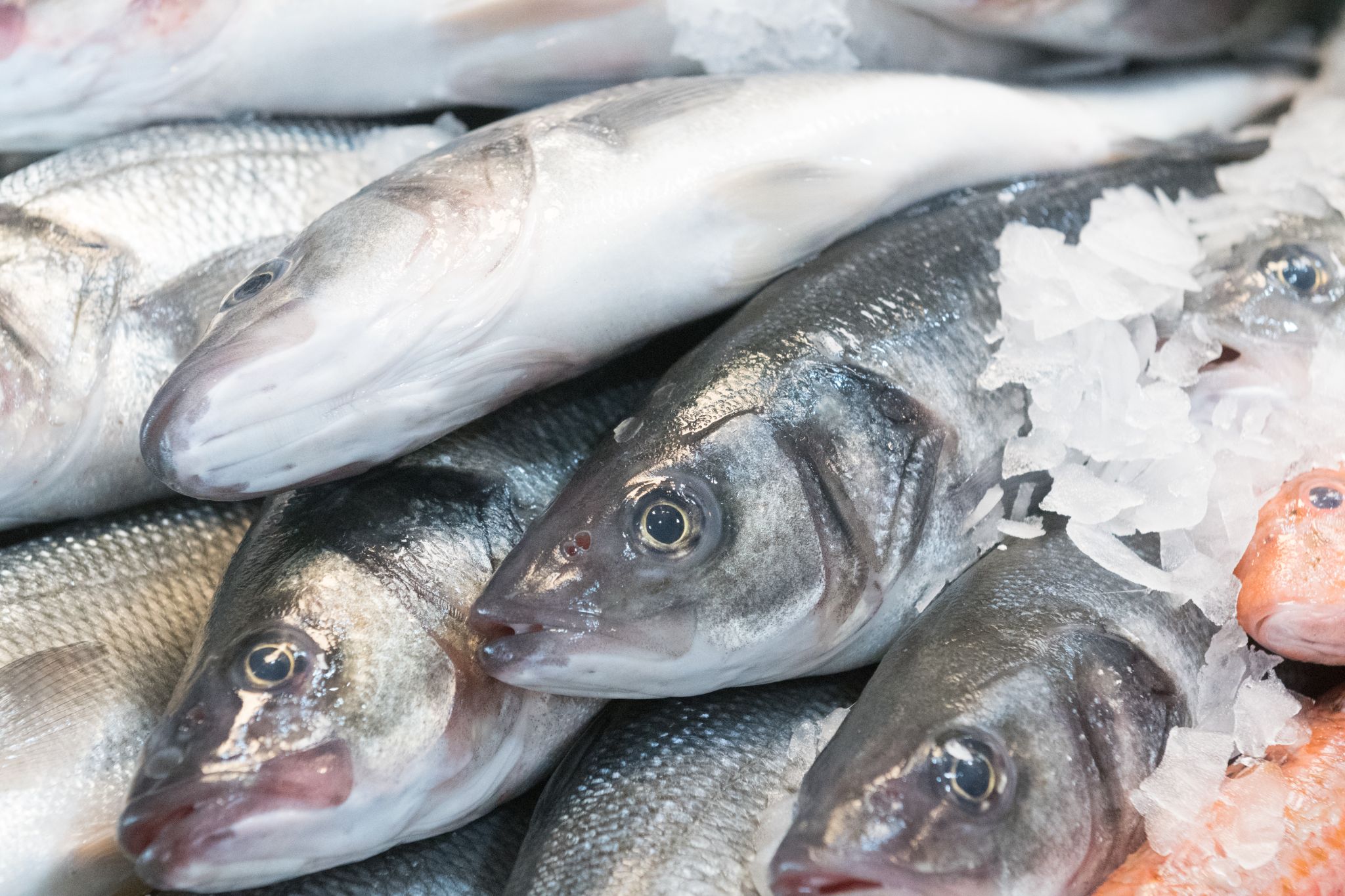 20230304   Fotoshoot IJmuiden   034